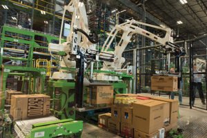 GT-palletizer-e1545097263424.jpg