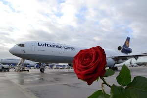 Roses_LCAG-2.jpg