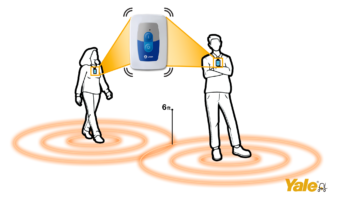 yale-tag-illustration-action-e1596544850329.png