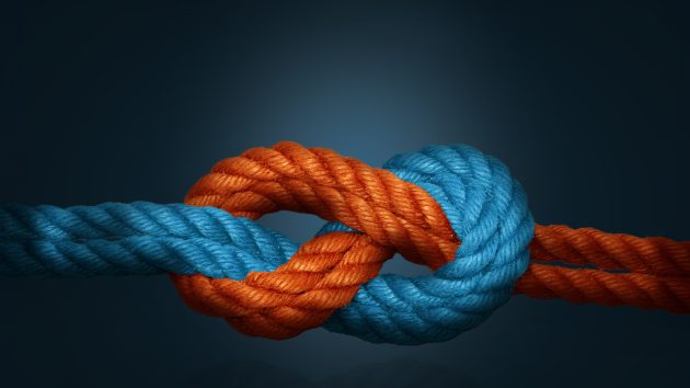 HLAG_16-9_Gemini-Visual-630x354.jpg