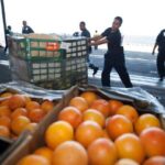 Sorry! Image not available at this time