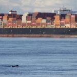 Sorry! Image not available at this time